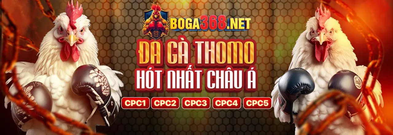 Hình ảnh nền đăng nhập casino đá gà c1 với các trò chơi cá cược trực tuyến và đá gà trực tiếp